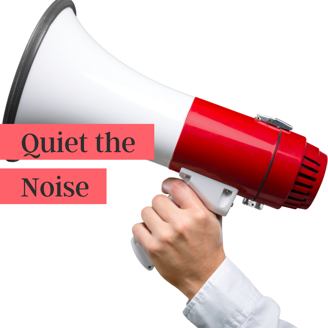 Quiet the Noise (podcast)